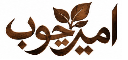 امیر چوب